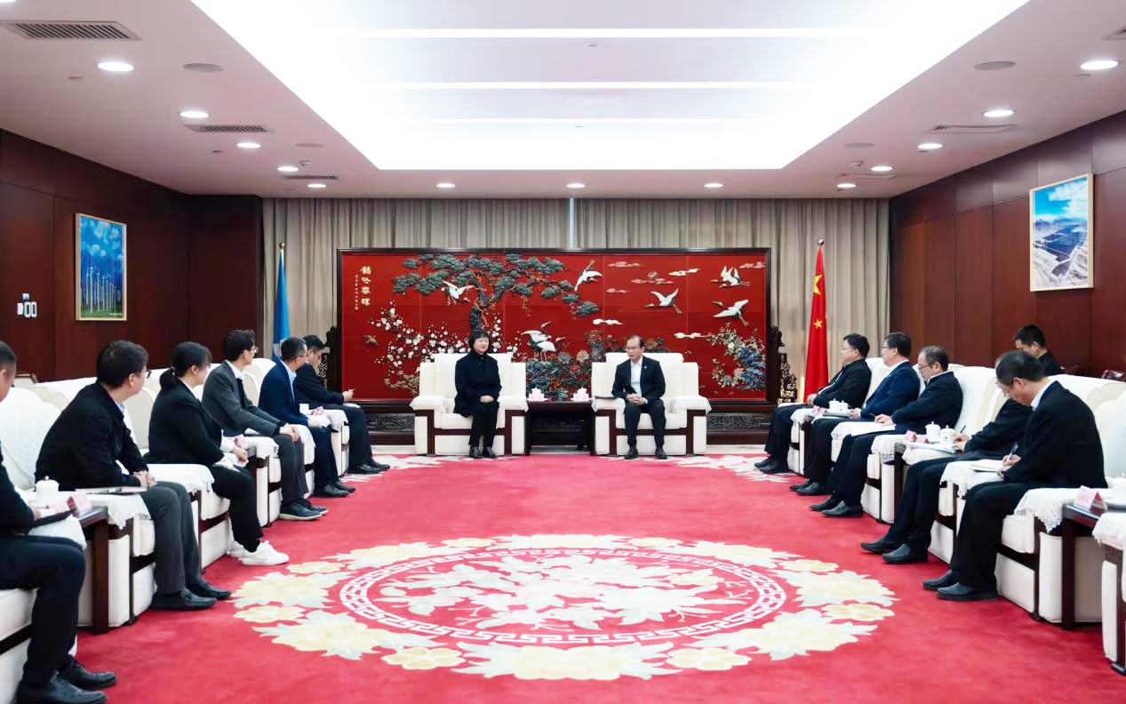 Z6尊龙凯时股份董事长高玲造访中国华电董事长江毅